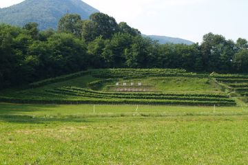 Tiro di Mendrisio