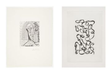 Pablo Picasso e Markus Raetz