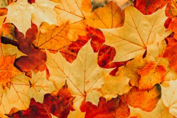 Tombola d’autunno e castagnata