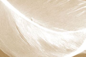 Flessibilità dell'anima: forza nascosta della gentilezza.