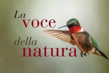La voce della natura