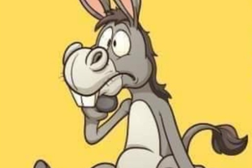 Stufato d'asino con polenta