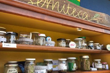 Dalla semiteca al vaso