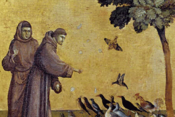 Cantico delle creature
