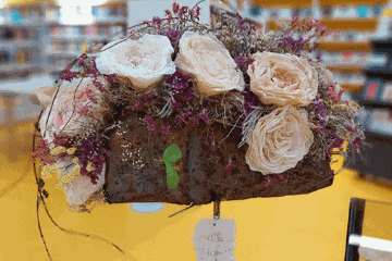 Altre botaniche 