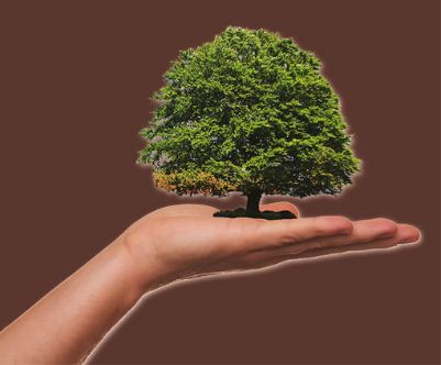 Calendario ecologico 2025