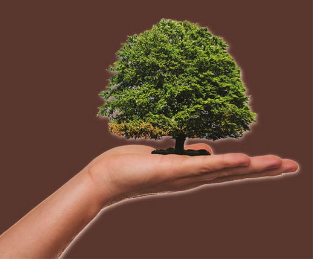 Calendario ecologico 2025