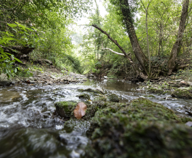 Il Mendrisiotto e Basso Ceresio riconosciuto come Swisstainable Destination
