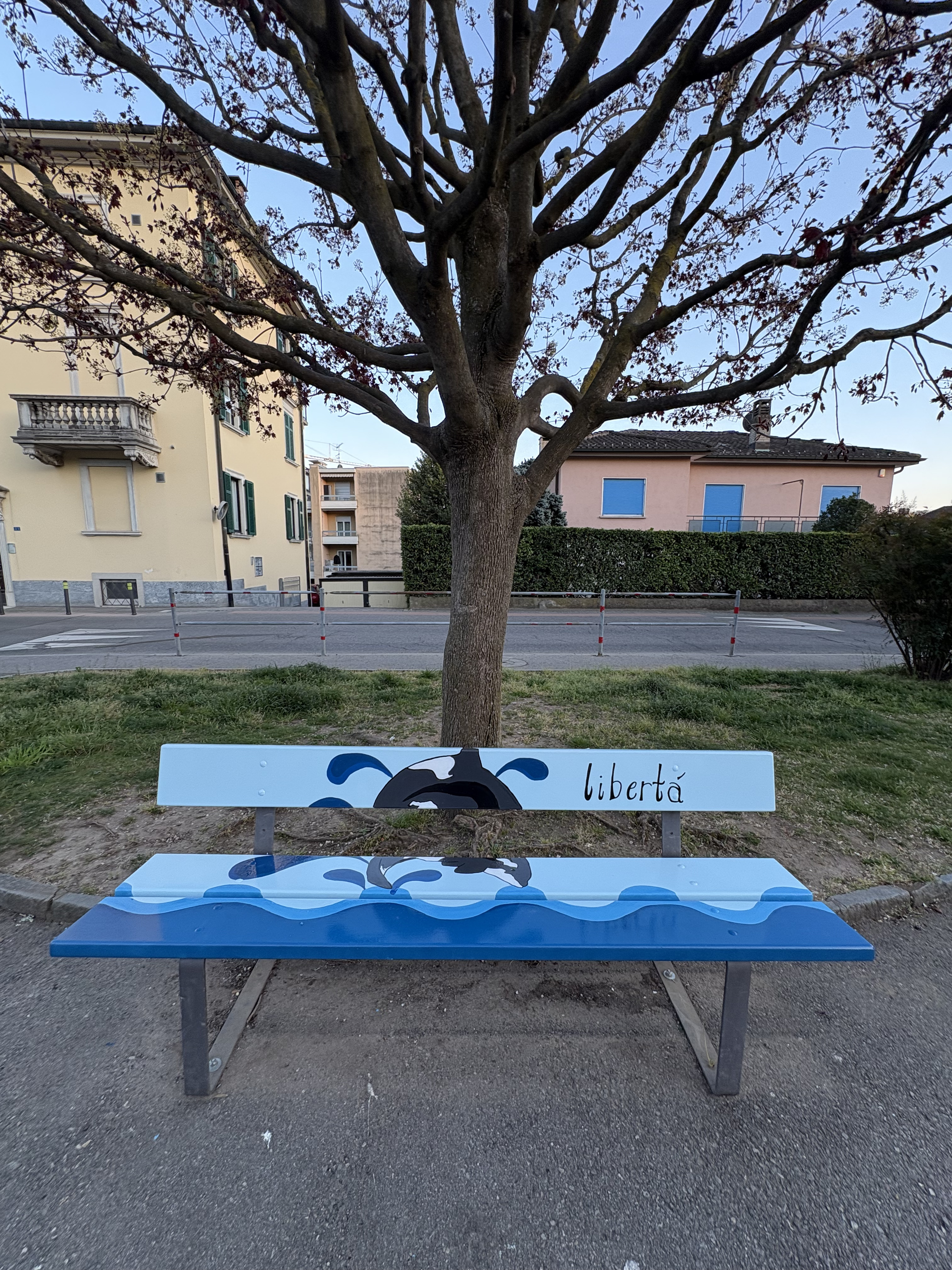 Ligornetto---Scuole-
